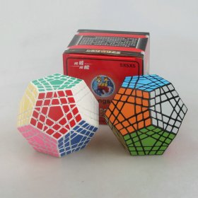 ShengShou Gigaminx Magic Cube Puzzle