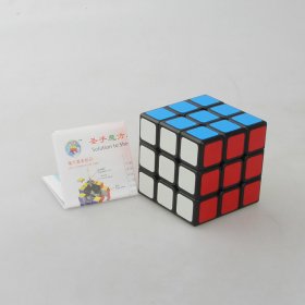 ShengShou Legend 3x3x3 Magic Cube Black