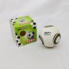 Shengshou 2X2 Football Cube