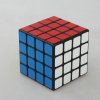 ShengShou Legend 4x4x4 Magic Cube Black