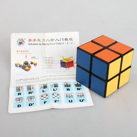 ShengShou 2x2x2 50mm Magic Cube