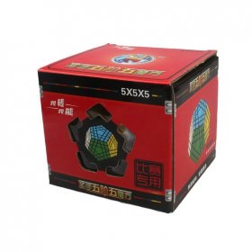 ShengShou Gigaminx Magic Cube Puzzle