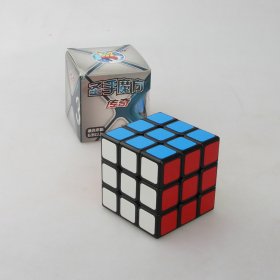 ShengShou Legend Frosted 3x3x3 Magic Cube