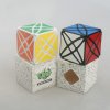 LanLan Flower Rex Magic Cube Puzzle