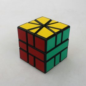 ShengShou Square-1 Magic Cube