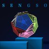 ShengShou Teraminx 9x9 Magic Cube