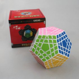 ShengShou Gigaminx Magic Cube Puzzle